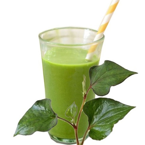 (HỘ KINH DOANH) -90TEA